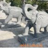 Mẫu voi đá đẹp 18